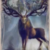 DN44_Cards_FNL-244 Divine Nature Oracle
