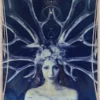 DN44_Cards_FNL-26 Divine Nature Oracle